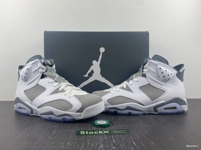 Rep TBK 6 Air CT8529-100 Jordan Cool Grey 0630